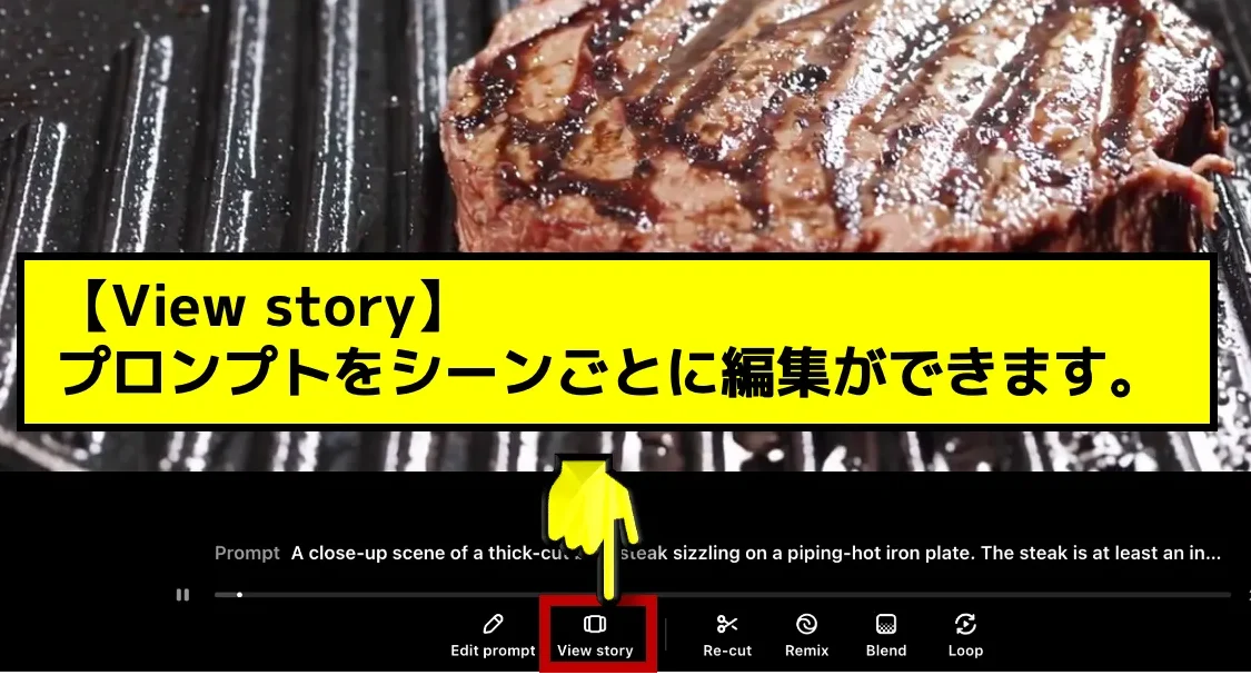 SoraView story1